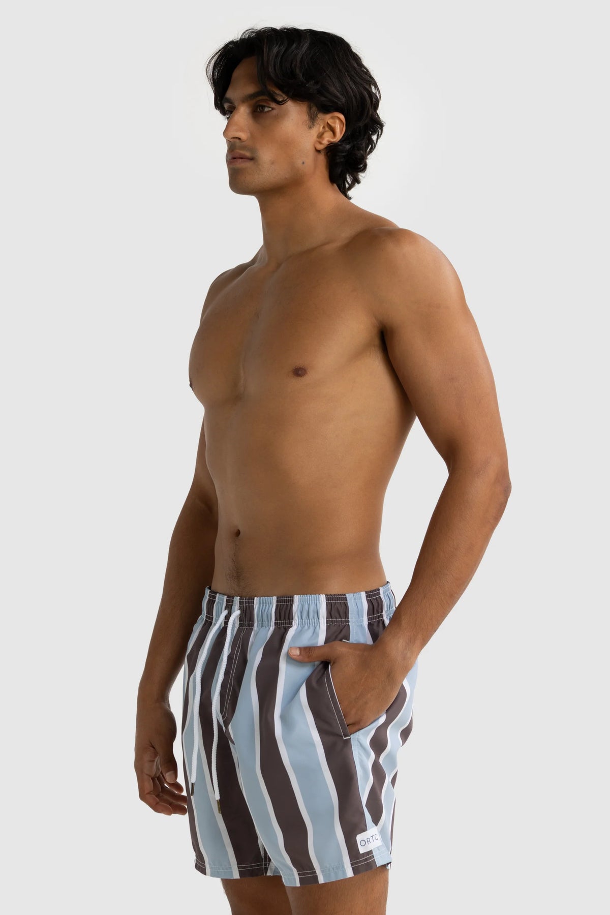 Hamelin Stripe Swim Short | Bark