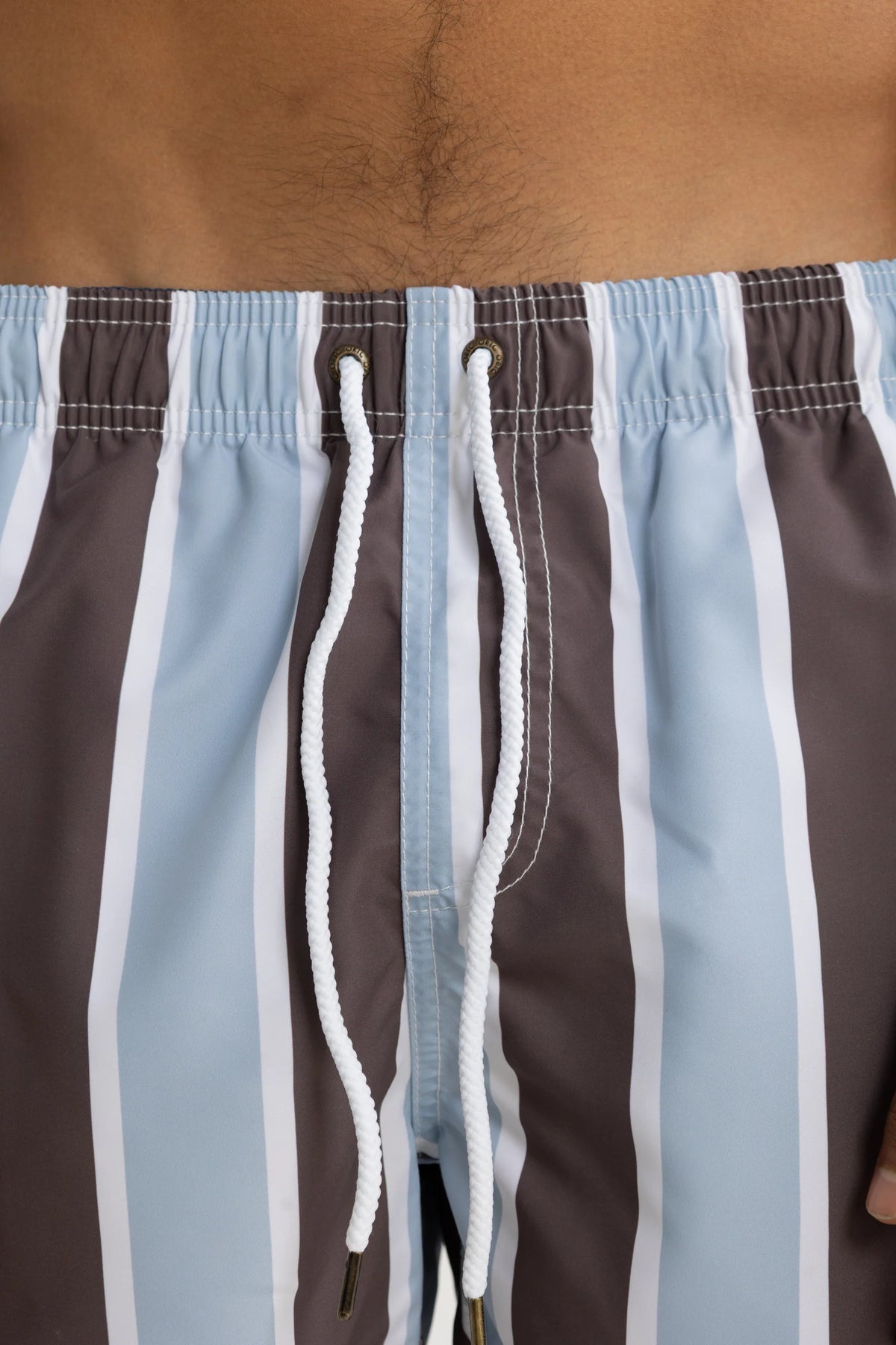 Hamelin Stripe Swim Short | Bark