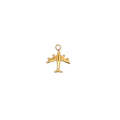 Latch & Lock Charm | Plane