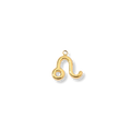 Latch & Lock Charm | Zodiac Leo