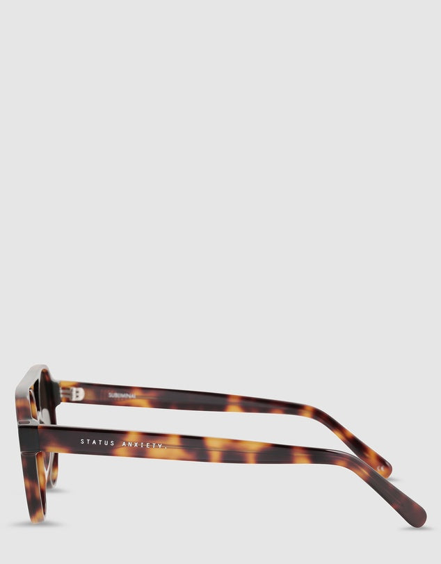 Subliminal Sunglasses | Brown Tort