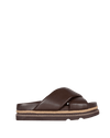 Solace - Chocolate