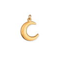 Latch & Lock Charm | Crescent Moon