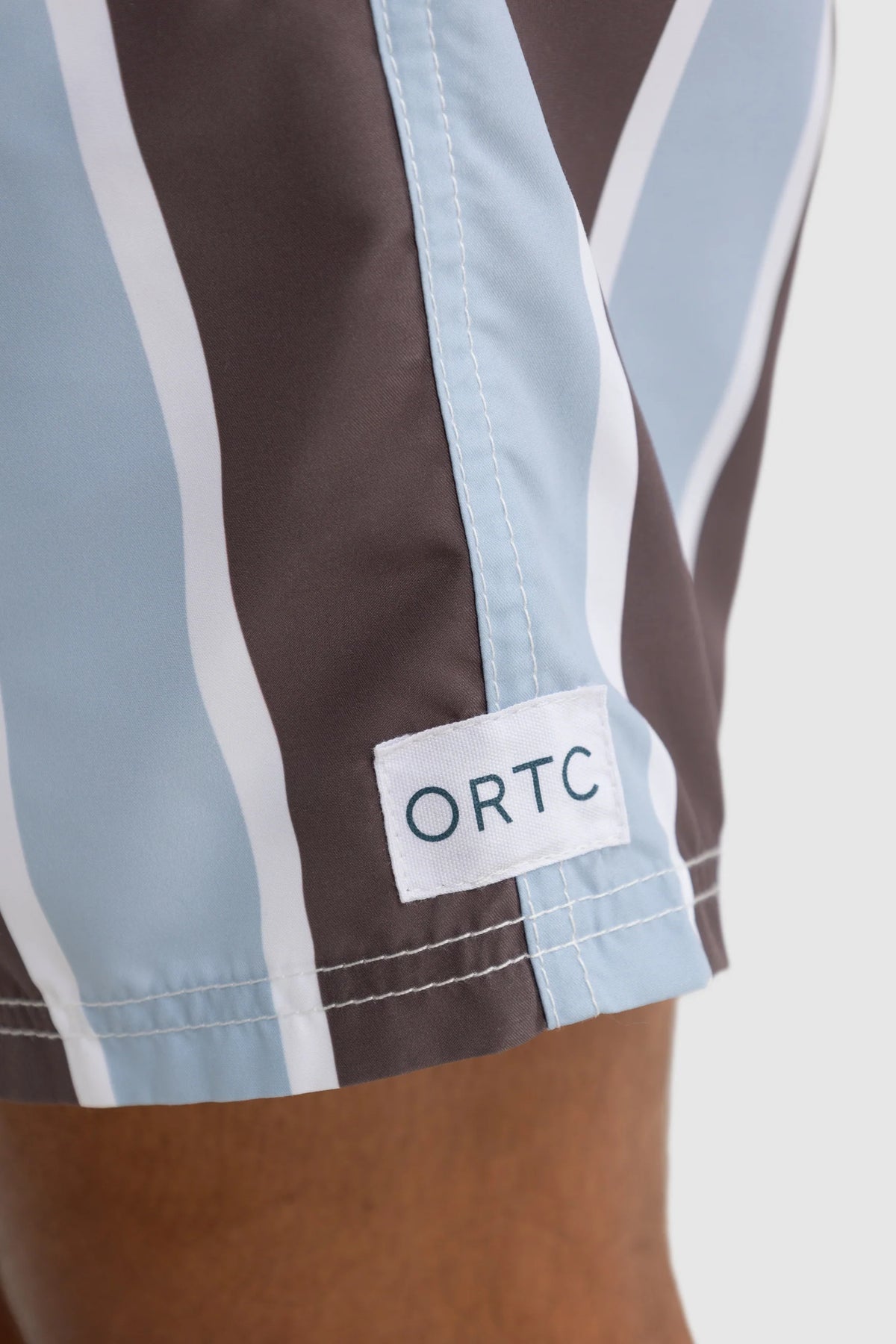 Hamelin Stripe Swim Short | Bark