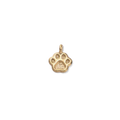 Latch & Lock Charm | Paw