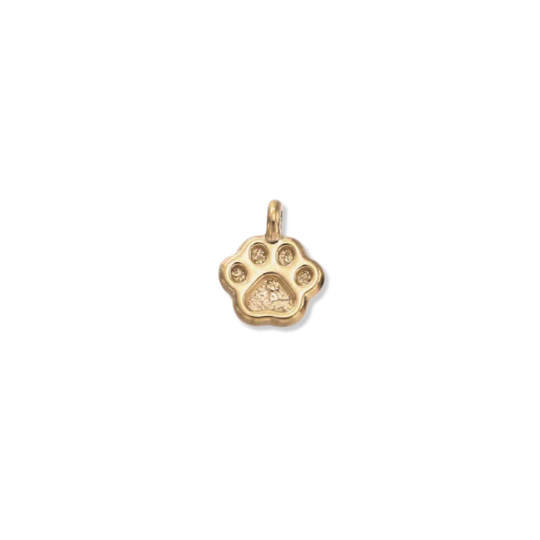 Latch & Lock Charm | Paw