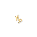 Latch & Lock Charm | Zodiac Capricorn