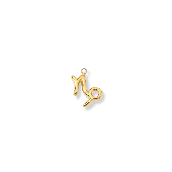 Latch & Lock Charm | Zodiac Capricorn