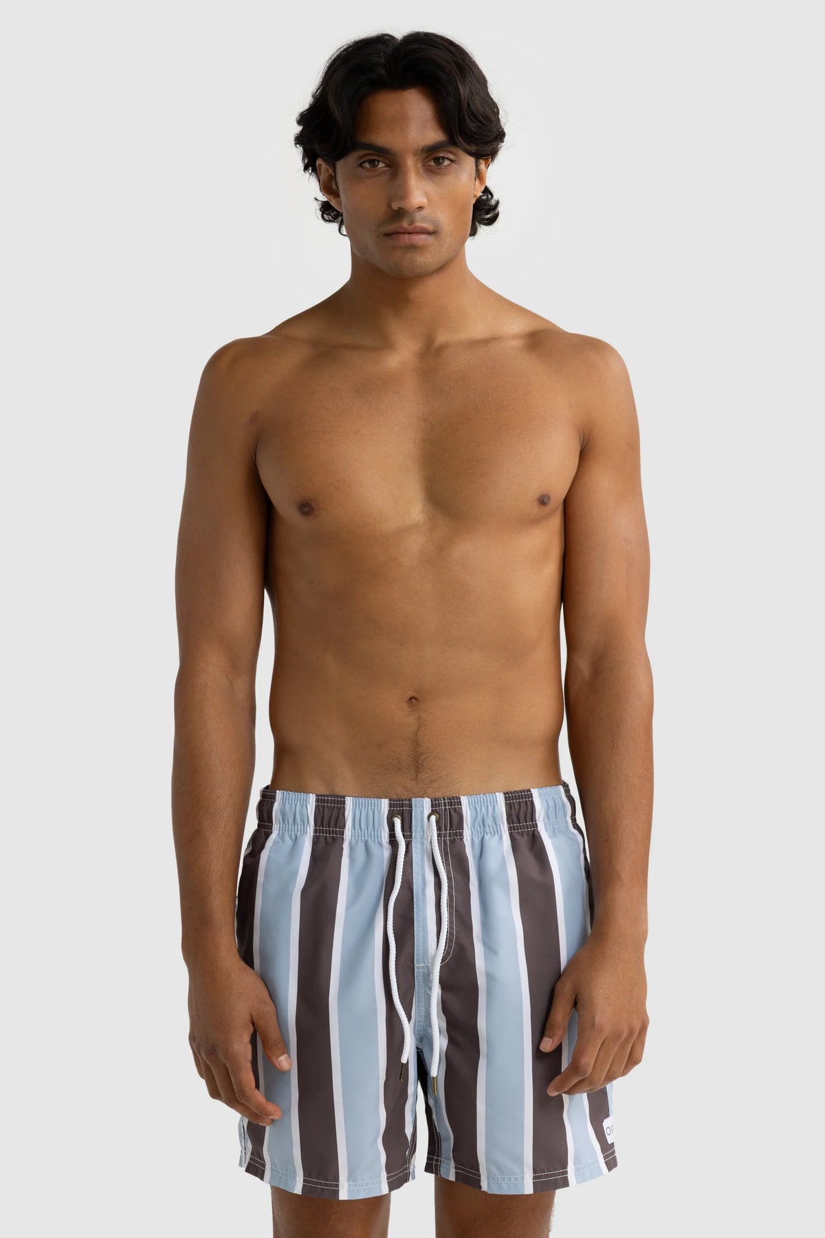 Hamelin Stripe Swim Short | Bark