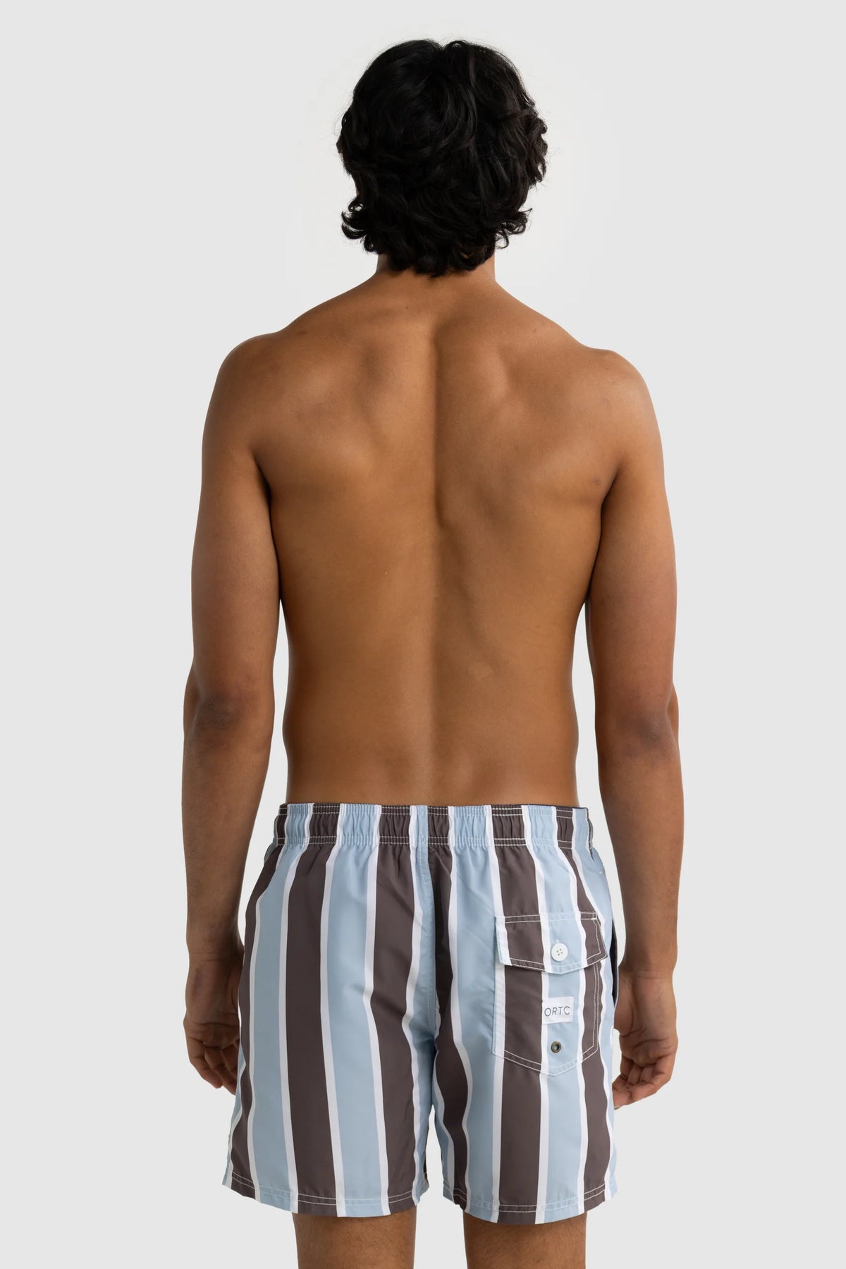 Hamelin Stripe Swim Short | Bark