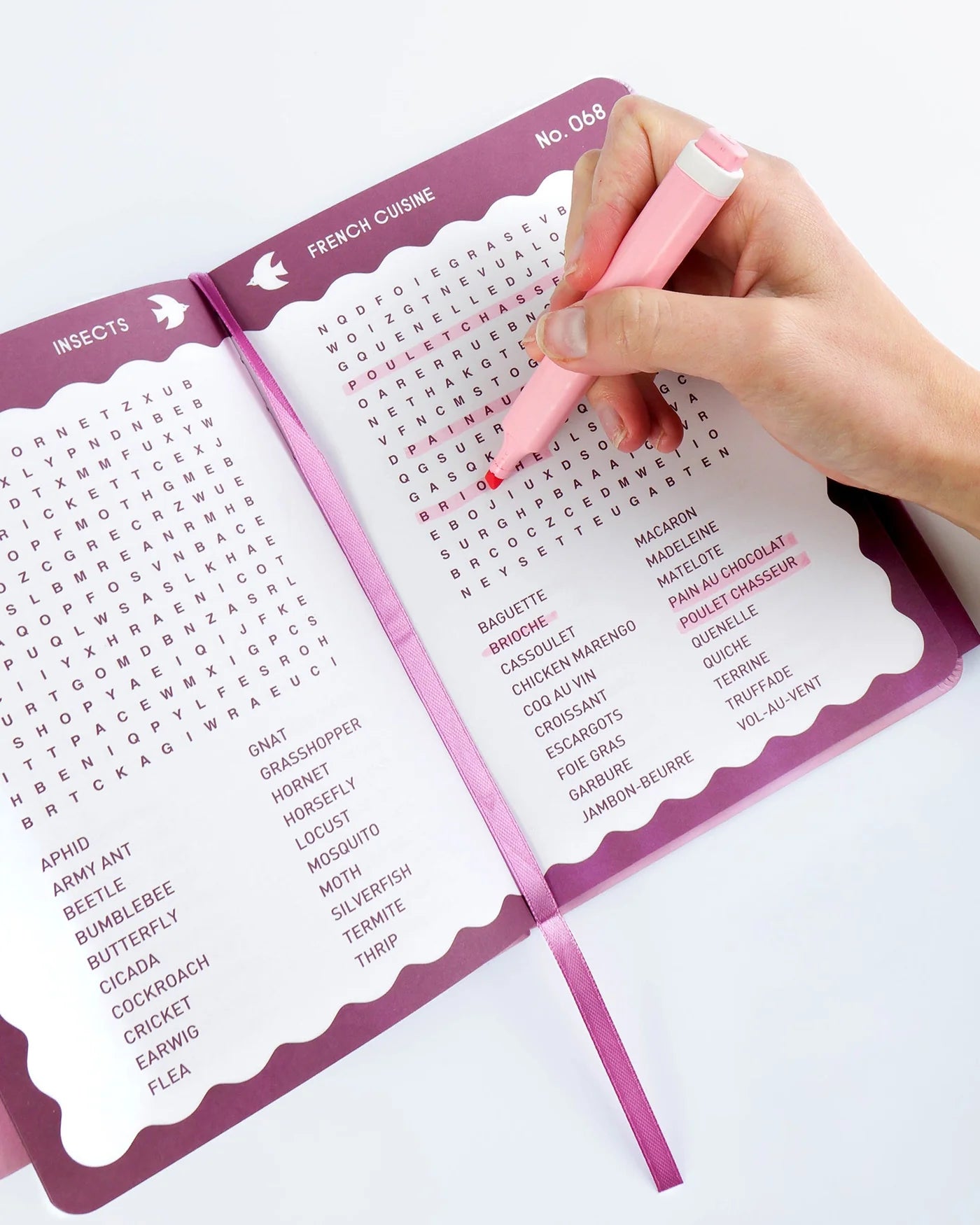 Word Search Book