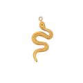 Latch & Lock Charm | Coil Snake