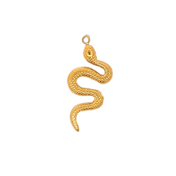 Latch & Lock Charm | Coil Snake