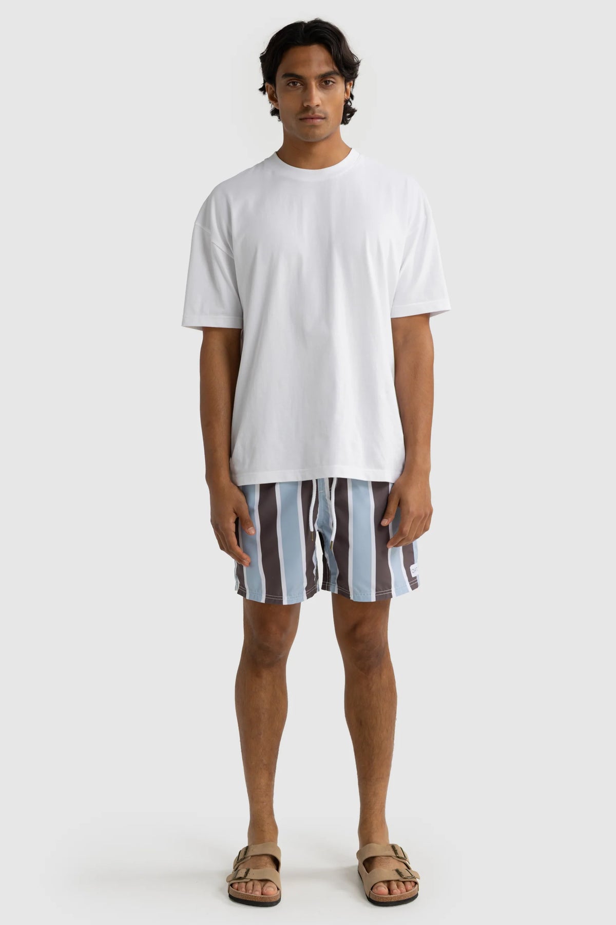 Hamelin Stripe Swim Short | Bark