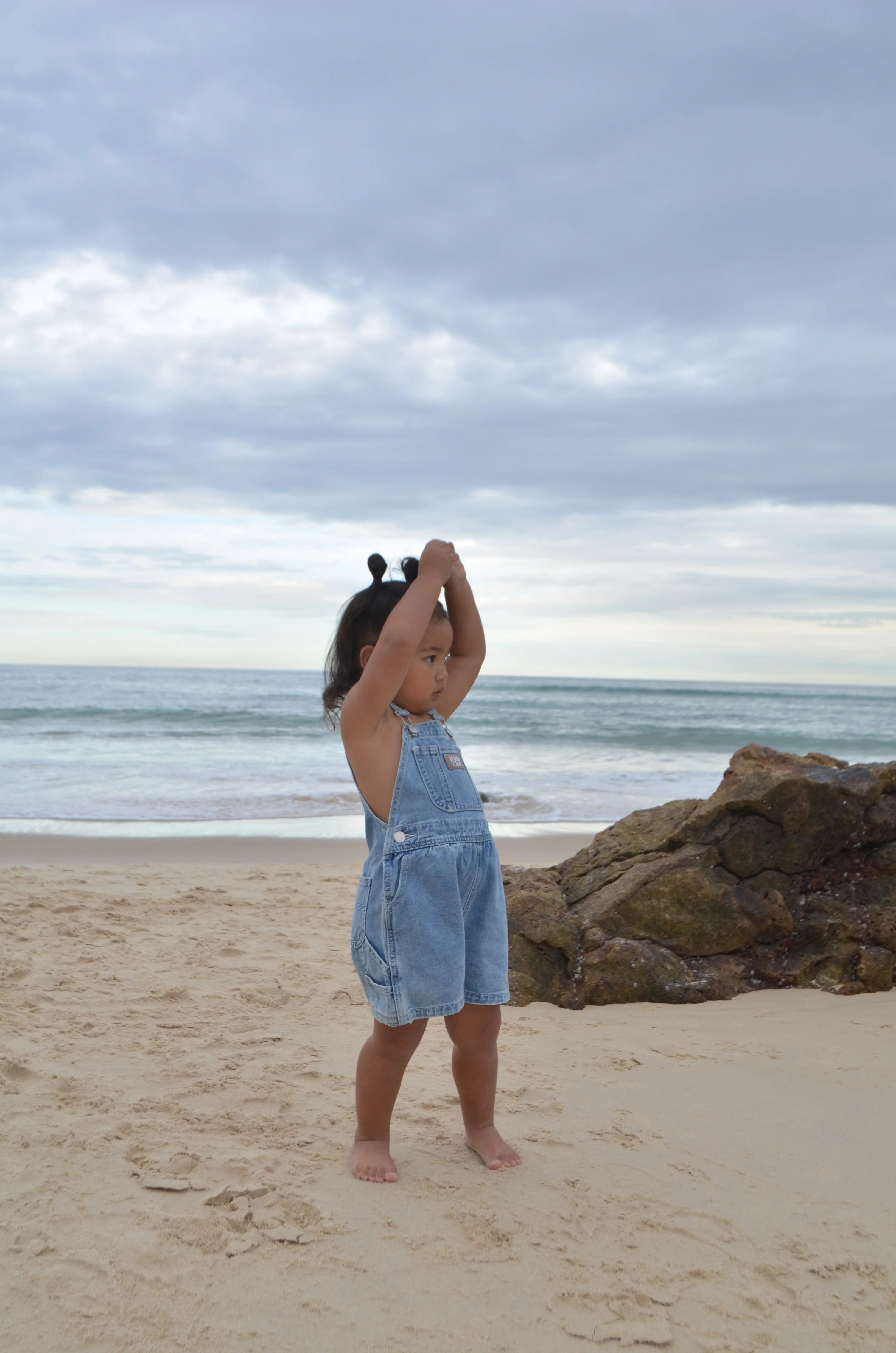 Carpenter Shortall - Tradie Blue